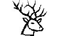 deer/elk